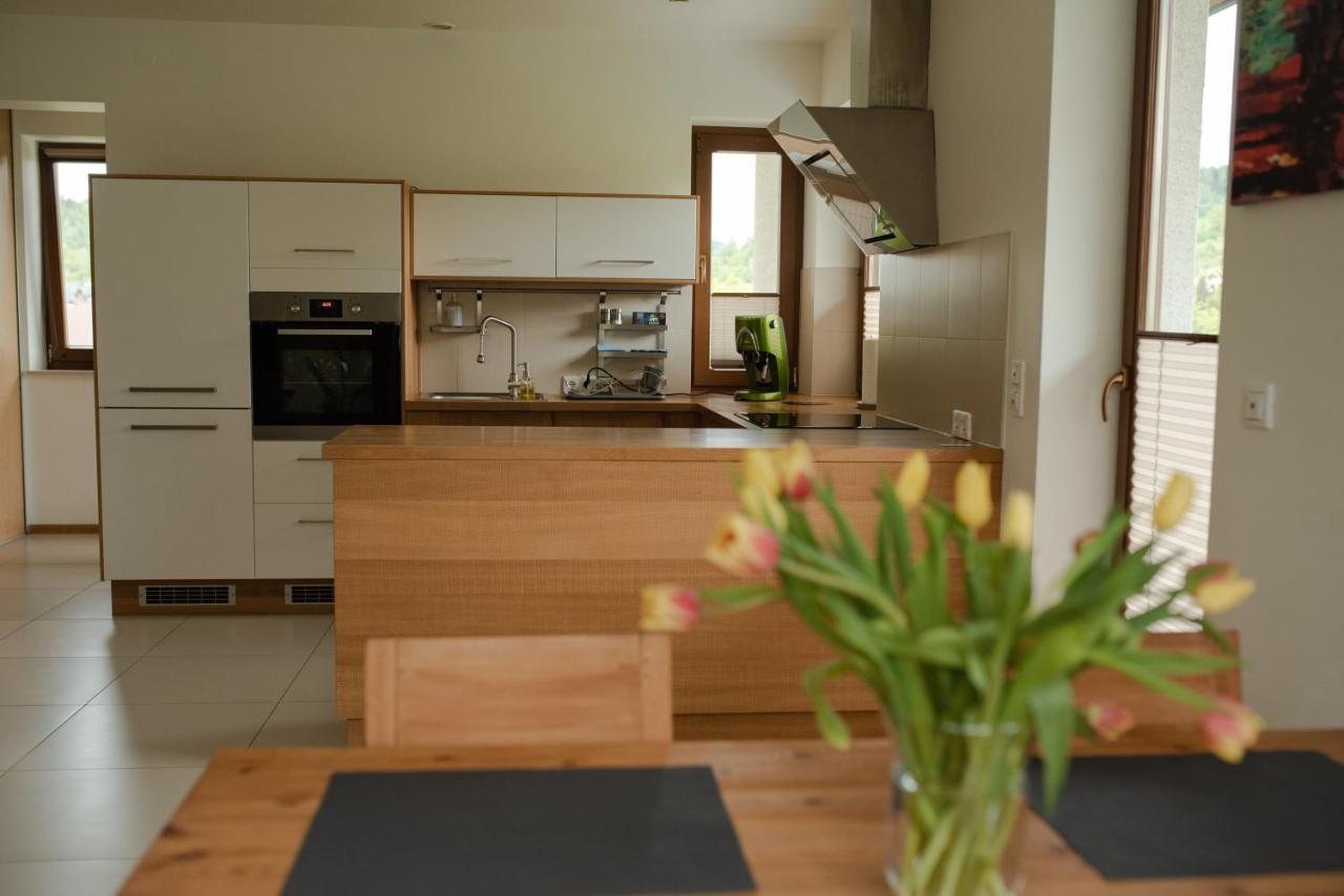 Apartament Sloneczna Rapsodia - Blisko Parku Zdrojowego - Piekny Widok - Ogrod - Taras Rabka Luaran gambar